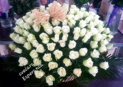 101 bela ruza 934 Cvećara Esperanca