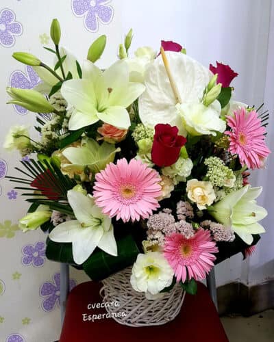 12 cvetni aranzman korpa sa cvecem anturium ljljan gerber lizijantus ruza dekorativno zelenilo 235 Cvećara Esperanca