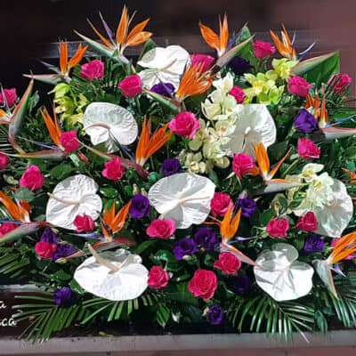 Cvetni aranžman – korpa sa cvećem – strelicija, anturium, orhideja, ruža, lizijantus, zelenilo