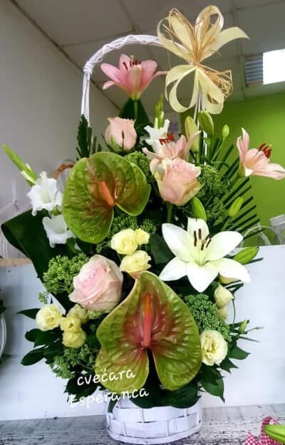 8 cvetni aranzman korpa sa cvecem anturium ruza lizijantus ljiljan zelenilo 126 Cvećara Esperanca