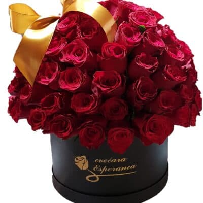 BOX OF FLOWERS-101 crvena ruža u kutiji