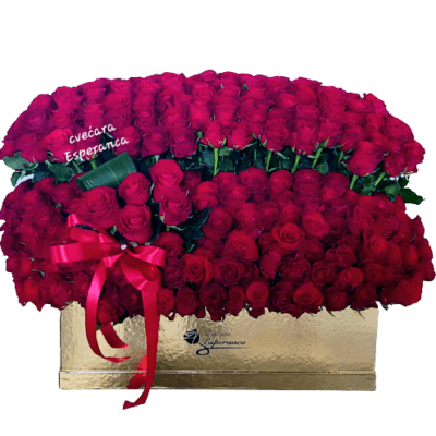 BOX OF FLOWERS-301 CRVENA RUŽA