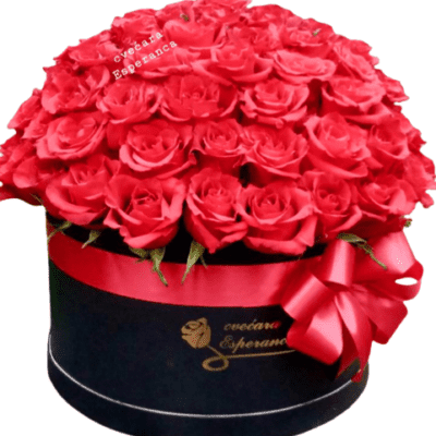 BOX OF FLOWERS- 101 crvena ruža u kutiji
