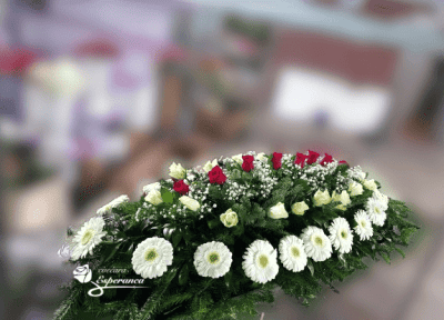 SUZA SANDUK 16 4 Cvećara Esperanca