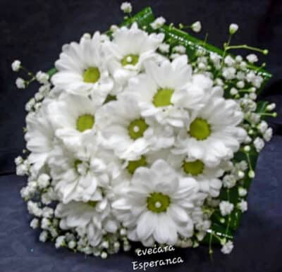 bidermajer hrizantema gipsofila dekoracija 965 Cvećara Esperanca