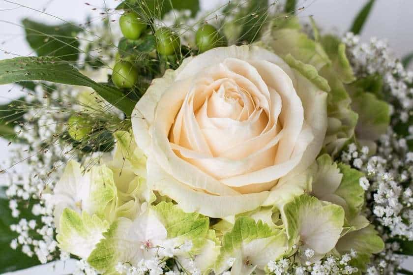Cveće za venčanje - dekoracija za svadbe