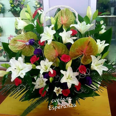 Cvetni aranžman – korpa sa cvećem – anturium, orjentalni ljiljan, ruža, lizijantus, dekoracija