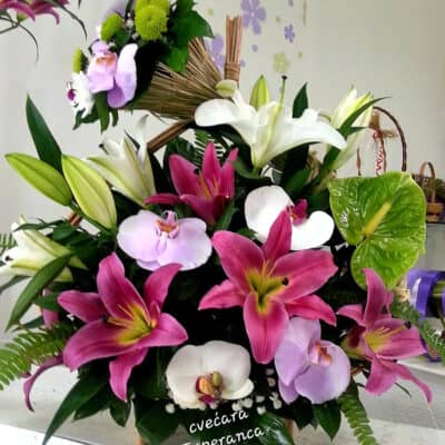 Cvetni aranžman – korpa sa cvećem – orjentalni ljiljan, orhideja penelopsis, anturium, dekorativno zelenilo