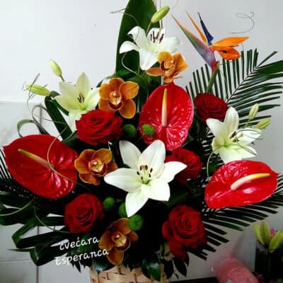 Cvetni aranžman – korpa sa cvećem – strelicija, anturium, orhideja, ruža, ljiljan, kermit, dekorativno zelenilo