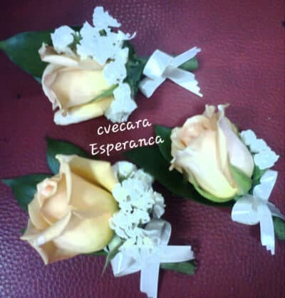 sifra r07 cvet za rever 133 Cvećara Esperanca