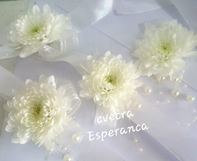 sifra r11 narukvica za kicenje 236 Cvećara Esperanca