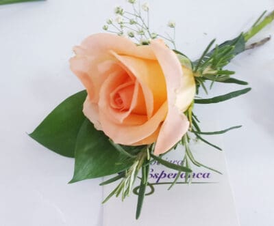 sifra r16 cvet za rever 812 Cvećara Esperanca