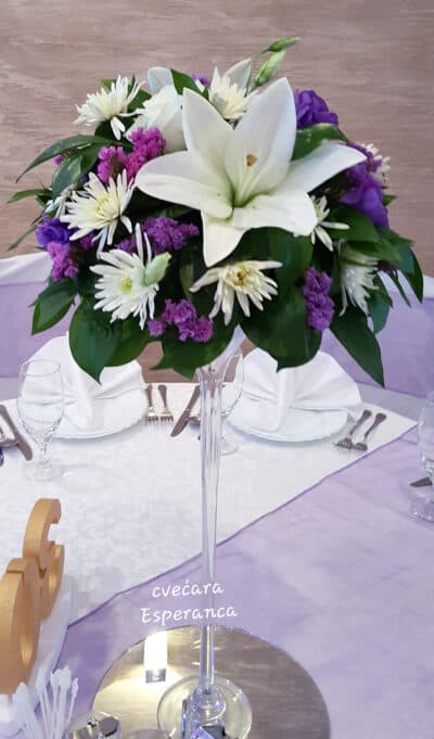 sifra sg01 stolovi za goste 108 Cvećara Esperanca