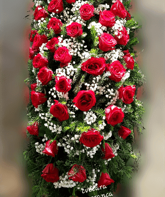 Suza za kovčeg – ruža crvena 50 kom.