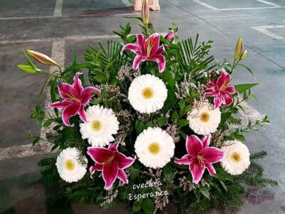 suza orjentalni ljiljan gerber 363 Cvećara Esperanca