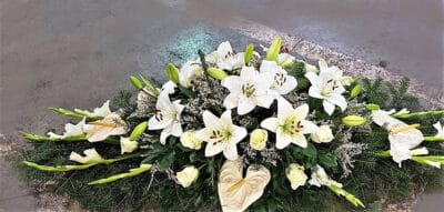 suza za kovceg 15 17m gladiola anturium ljiljan ruza 266 Cvećara Esperanca