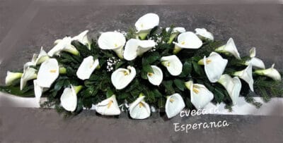 suza za kovceg 15 17m kala 137 Cvećara Esperanca