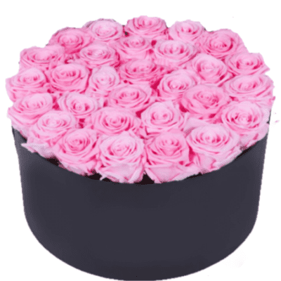 BOX OF FLOWERS-ROZE RUŽE
