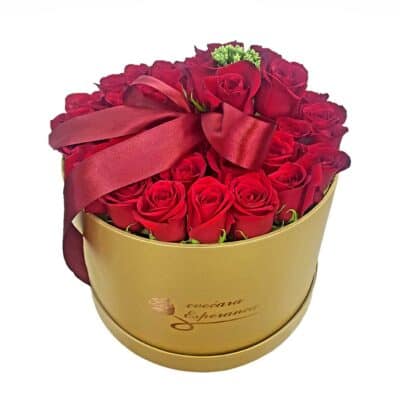 BOX OF FLOWERS- RUŽE U KUTIJI