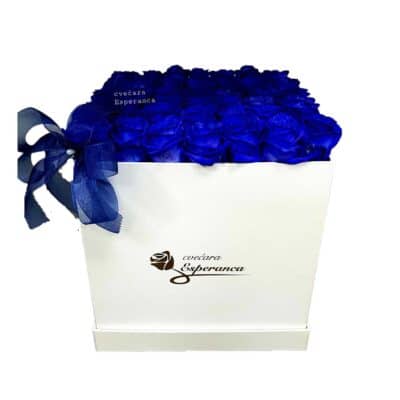BOX OF FLOWERS-PLAVE RUŽE